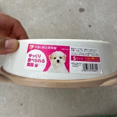 早食い防止用食器★犬用の画像