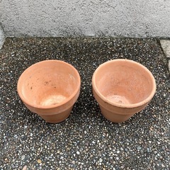 植木鉢(素焼き)２個セット　使用済み (p6)の画像