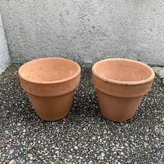 植木鉢(素焼き)２個セット　使用済み (p6)