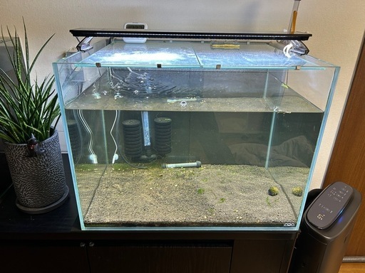 ADAガラス水槽60