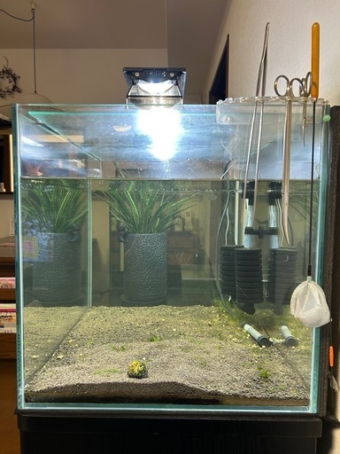 ADAガラス水槽60