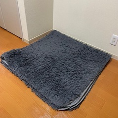 カーペット【無料お引渡し】