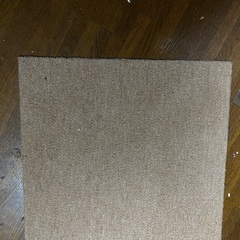ペット用カーペット