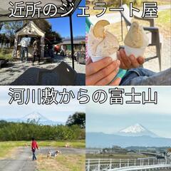 維持費安い！ 別荘管理費 ¥0円！！
『裏に清流が流れる森のおうち』
#山梨 
#避暑地 
#別荘 
#山林 
#土地 
#清流 
#キャンプ 
#BBQ  - 不動産売買（マンション/一戸建て）