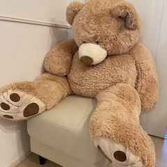 コストコ　クマぬいぐるみ