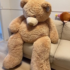 コストコ　クマぬいぐるみの画像