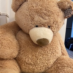 コストコ　クマぬいぐるみの画像