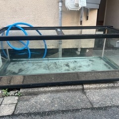 本日のみ120センチガラス水槽