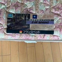 フランスベット　マット　厚みありの画像