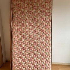 フランスベット　マット　厚みありの画像