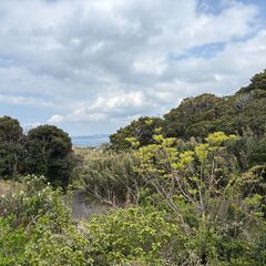 ★★ 122坪の分譲地内！高台から海が望める区画 ★★ − 千葉県