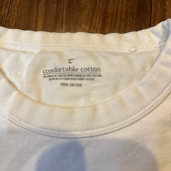 Lサイズ 半袖Tシャツの画像