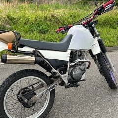早い者勝ち！貴重！セロー225 pwk28キャブ　林道等に最適！...