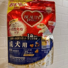 ドッグフード