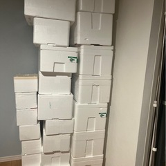 発泡スチロール　23個セット