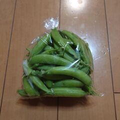 朝採りスナップエンドウまたは絹さや