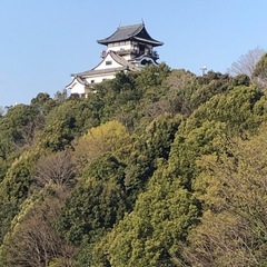 雑談、オフ会、通話LINEグループ