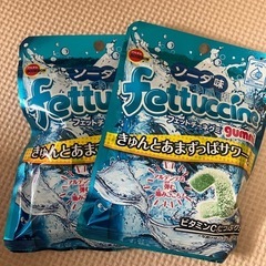 フィットチーネグミ　ソーダ味2個