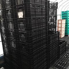 コンテナ　サンテナ　カゴ　65ケ有　バラ売り可