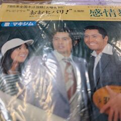 （中古EPレコード）感情教育−マキシム