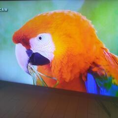 SONY BRAVIA KJ-55x8550G③
