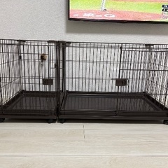 犬　ゲージの画像