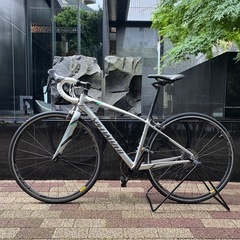 SPECIALIZED DOLCE COMP EQ（スペシャライズド　ドルチェ）の画像