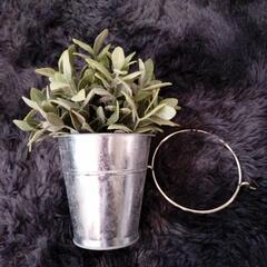 観葉植物・イミテーショングリーン（IKEA）
