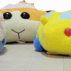 PUI PUI モルカーの画像