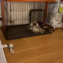 ペット用ケージ