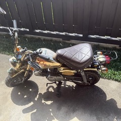 ゴールドモンキー