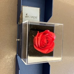 ピアスケースの画像