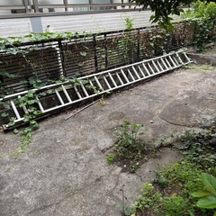 2連　ハシゴ　梯子　東京都大田区　脚立　