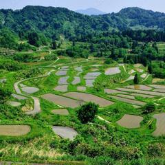 棚田見学と、へぎ蕎麦🏍️ツーリング - 太田市