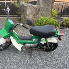 シャリーCF50