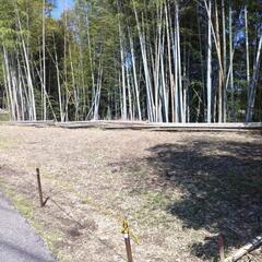 山林、宅地
