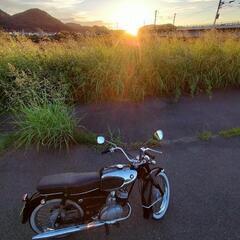 SUZUKI セルペットの画像
