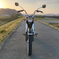 SUZUKI セルペットの画像