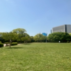 6/22(日)9時〜幕張海浜公園でパークヨガ開催！の画像