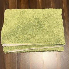 ほこりが取れやすい洗えるラグ(ニトリ)