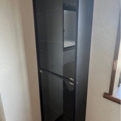 浅型ハイタイプ 壁面収納 収納家具、収納棚、飾り棚、ガラス扉