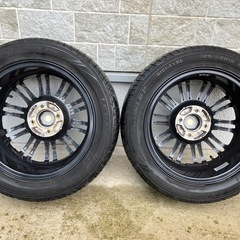 お譲り先決まりました
の画像