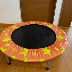 子供用トランポリン 102cm 耐荷重110kgの画像