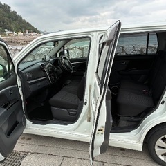 スティングレー　とても綺麗ですの画像