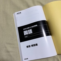 値下げ🉑
大学共通テスト問題集2025の画像