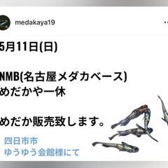 【緊急参戦】めだか販売会に参加‼️天然温泉かけ流し「ゆうゆ…