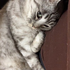 おしゃべり甘えんボーイ♡