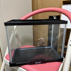 アクリル水槽 家具の中古が安い！激安で譲ります・無料で