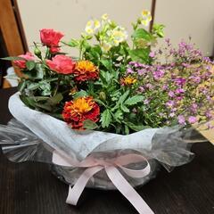 母の日 花の苗詰合せ(白)