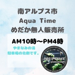 5月11日（日）　メダカ販売10:00〜　アクアタイムめだか販売所 